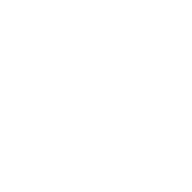 iPhone 16 Series